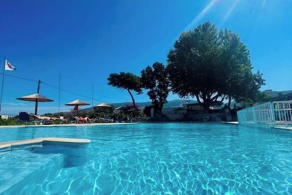 Outdoor pool, sun loungers
