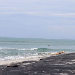 Surf/bodyboard