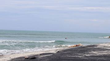 Surf o bodyboard