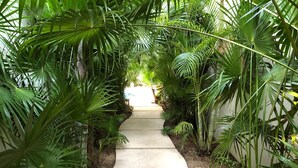 Un sendero de concreto bordeado por abundante vegetación, que conduce a la entrada de un edificio.