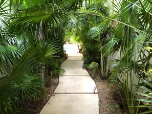 Stroll through lush gardens surrounded by tropical foliage.