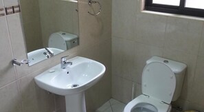 A bathroom with a white sink, a toilet, and a mirror.