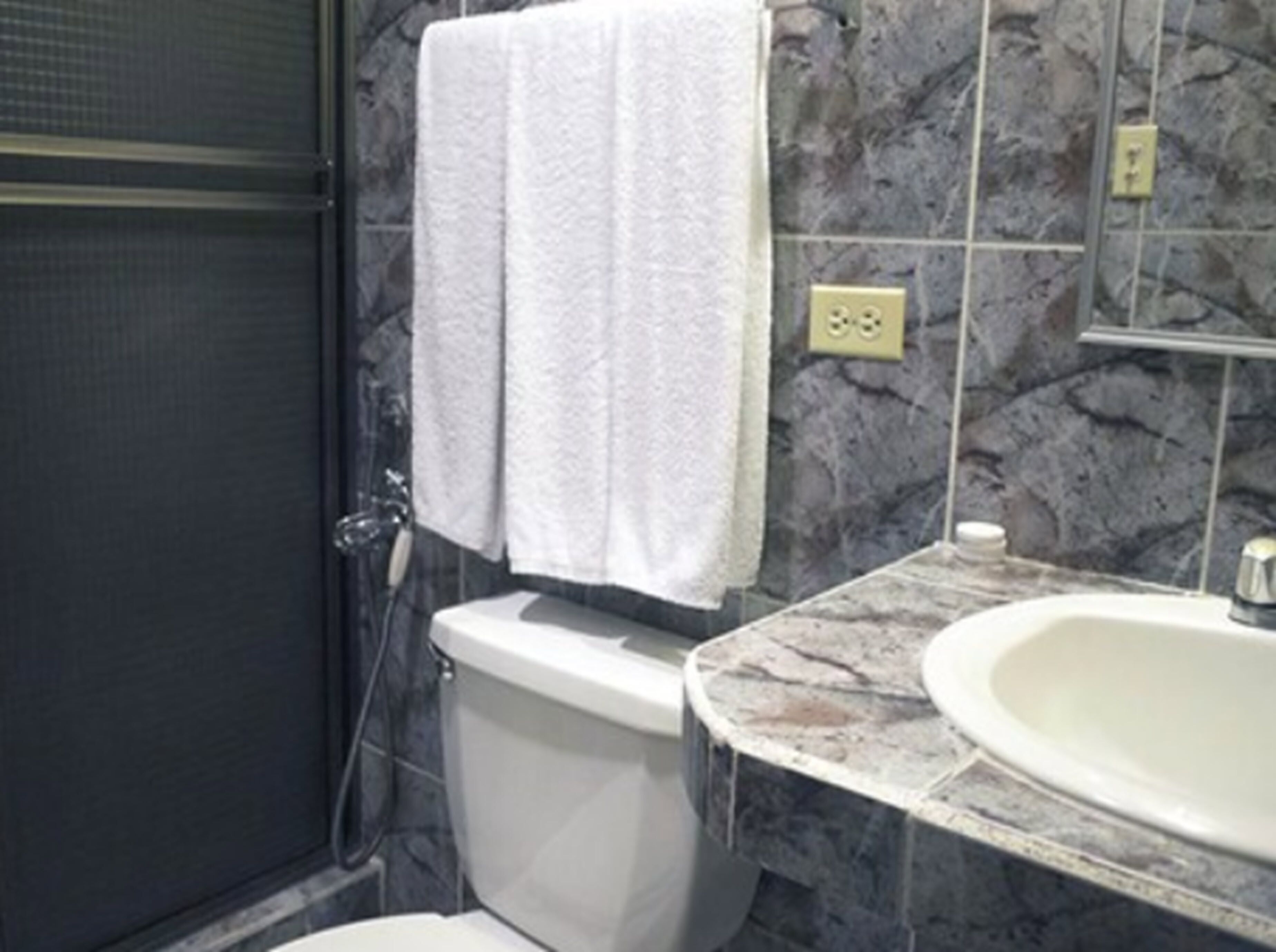 Een badkamer met toilet, wastafel en douche.