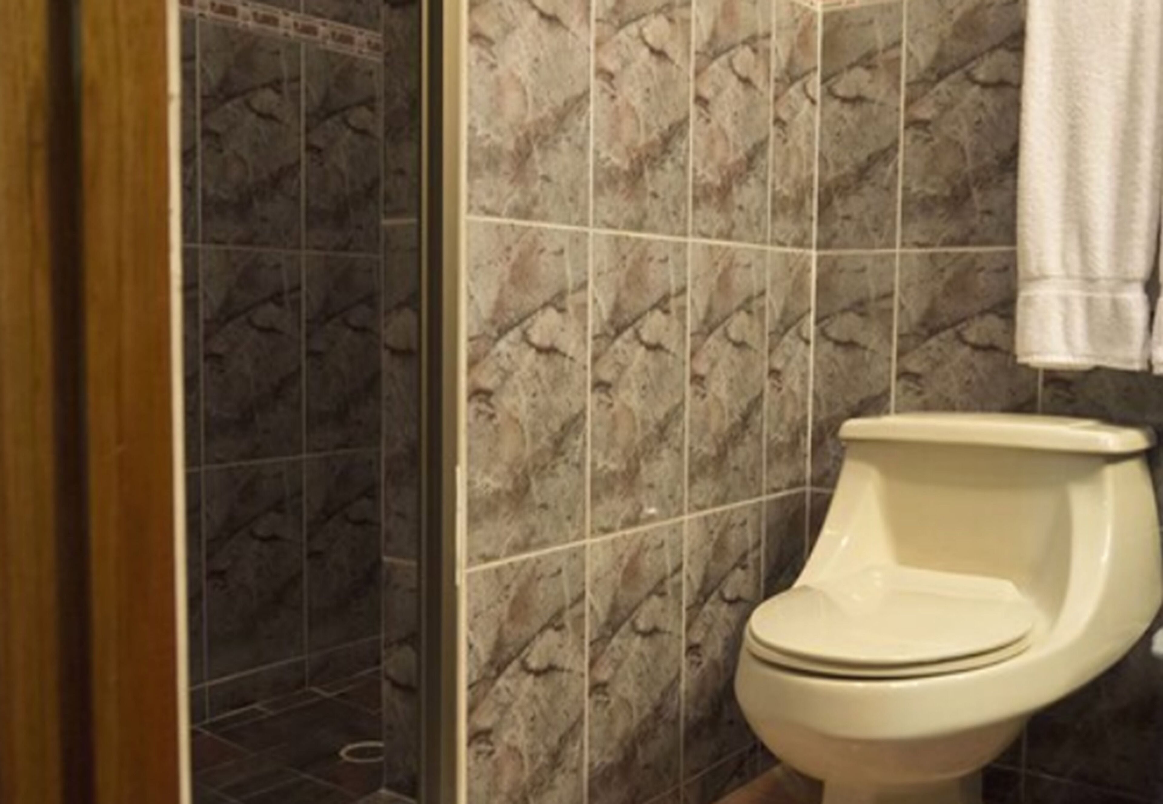 A bathroom with a toilet, dark patterned tiles, and a towel hanging on the wall.