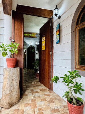 Reception - Hostel Natura (Cancun)