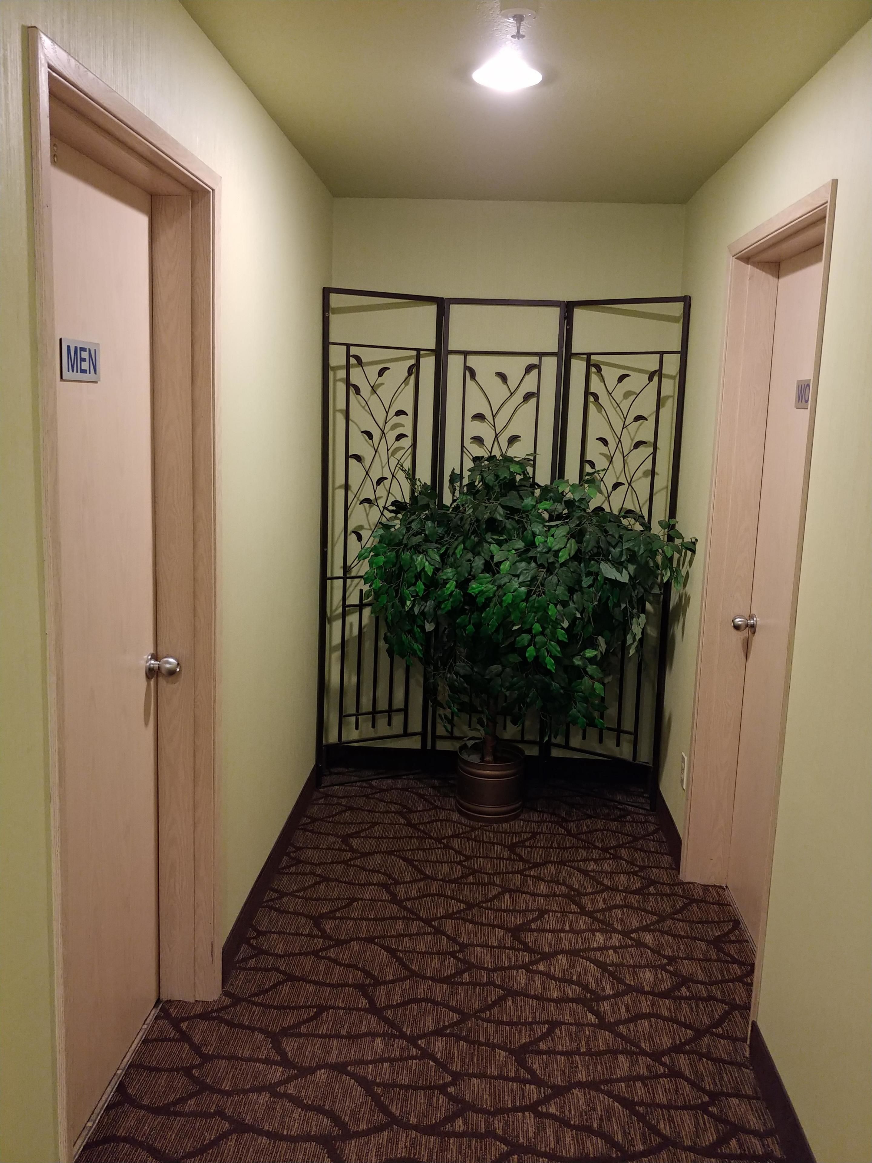 basic room, private bathroom (conference room) | bathroom | combined shower/bathtub, free toiletries, hair dryer, towels