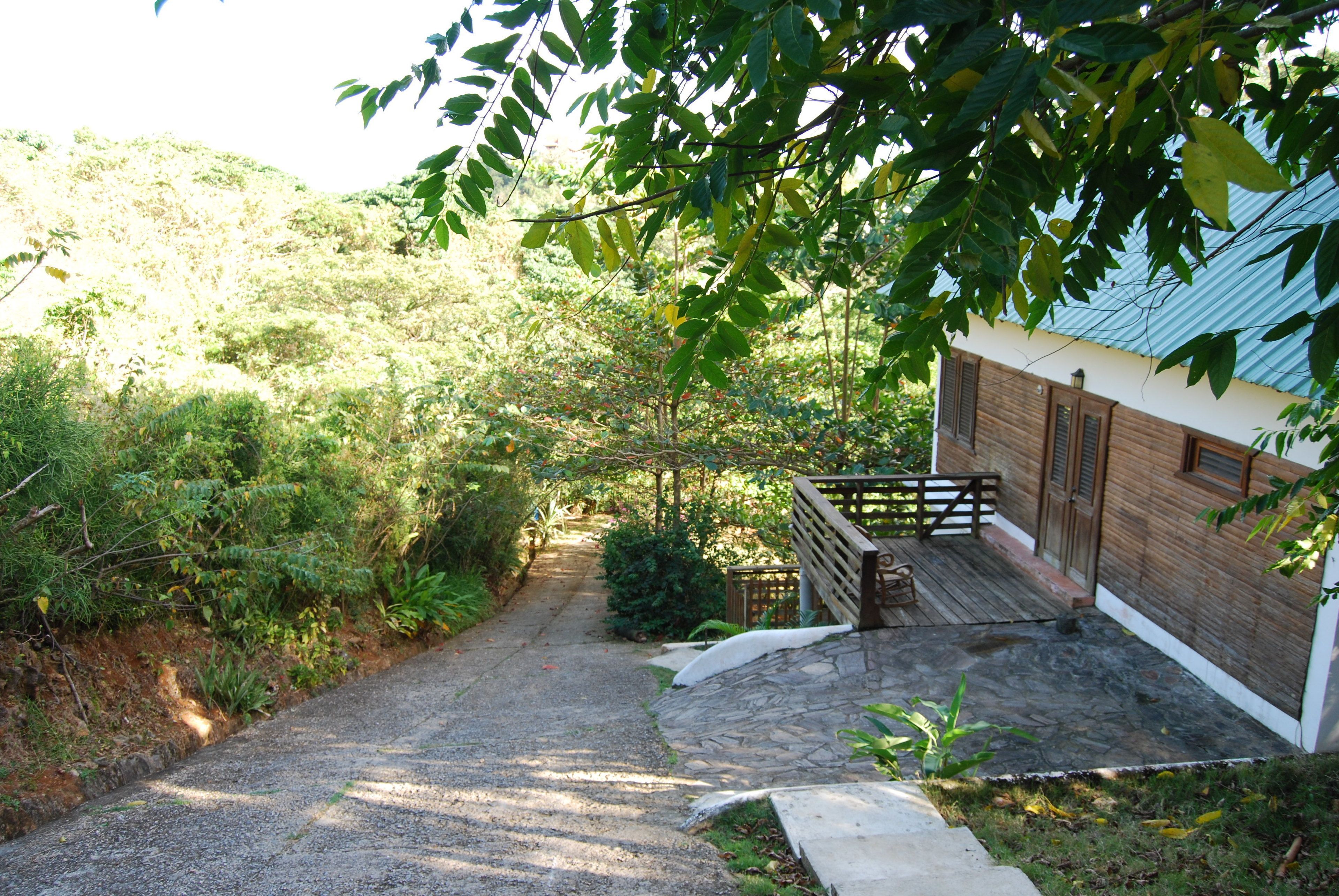 Standaard huis | Terras