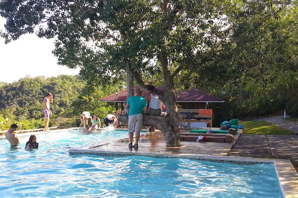 Outdoor pool, open 7:30 AM to 10 PM, pool loungers