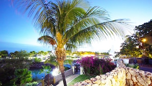 A stone wall, a palm tree, and a view of a coastal area with buildings and a body of water. - Ocean Apartments (Willemstad)