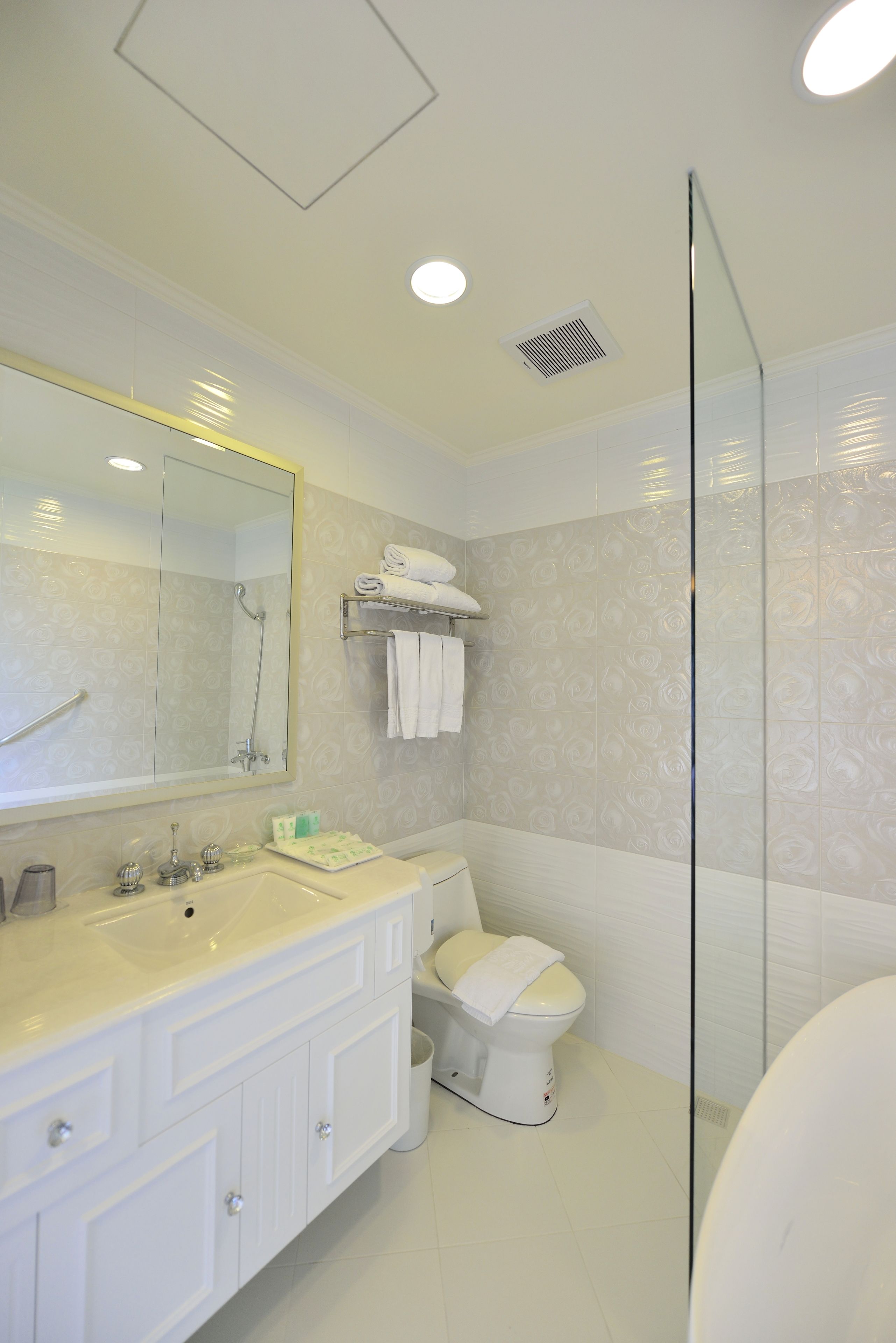 shower, free toiletries, hair dryer, slippers