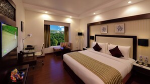 Minibar, in-room safe, desk, WiFi (free) - Lords Inn Jodhpur (Jodhpur)