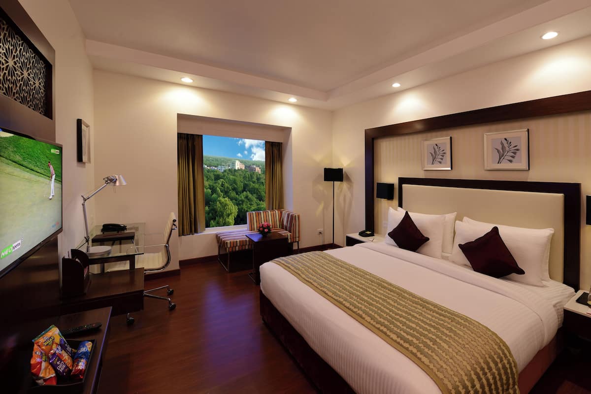 Minibar, in-room safe, desk, WiFi (free)