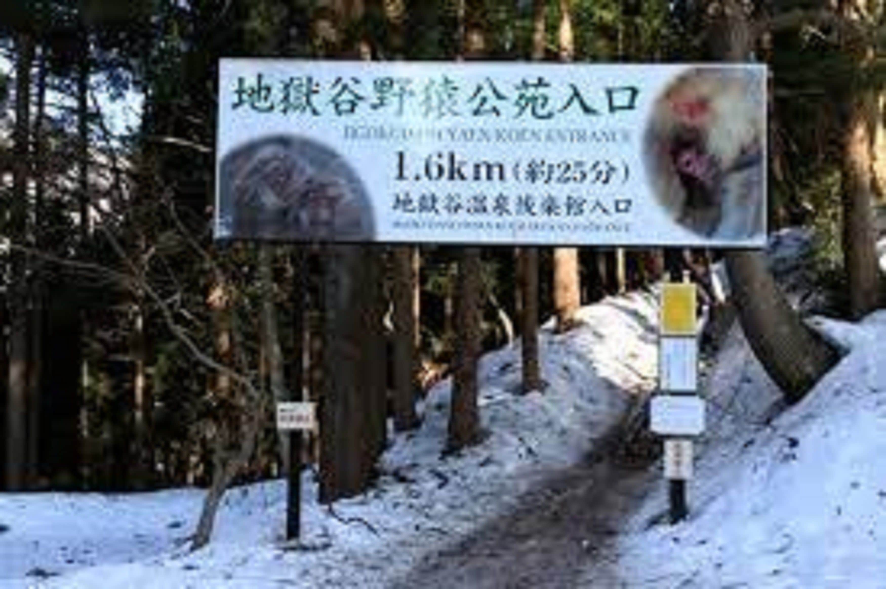 children’s activities