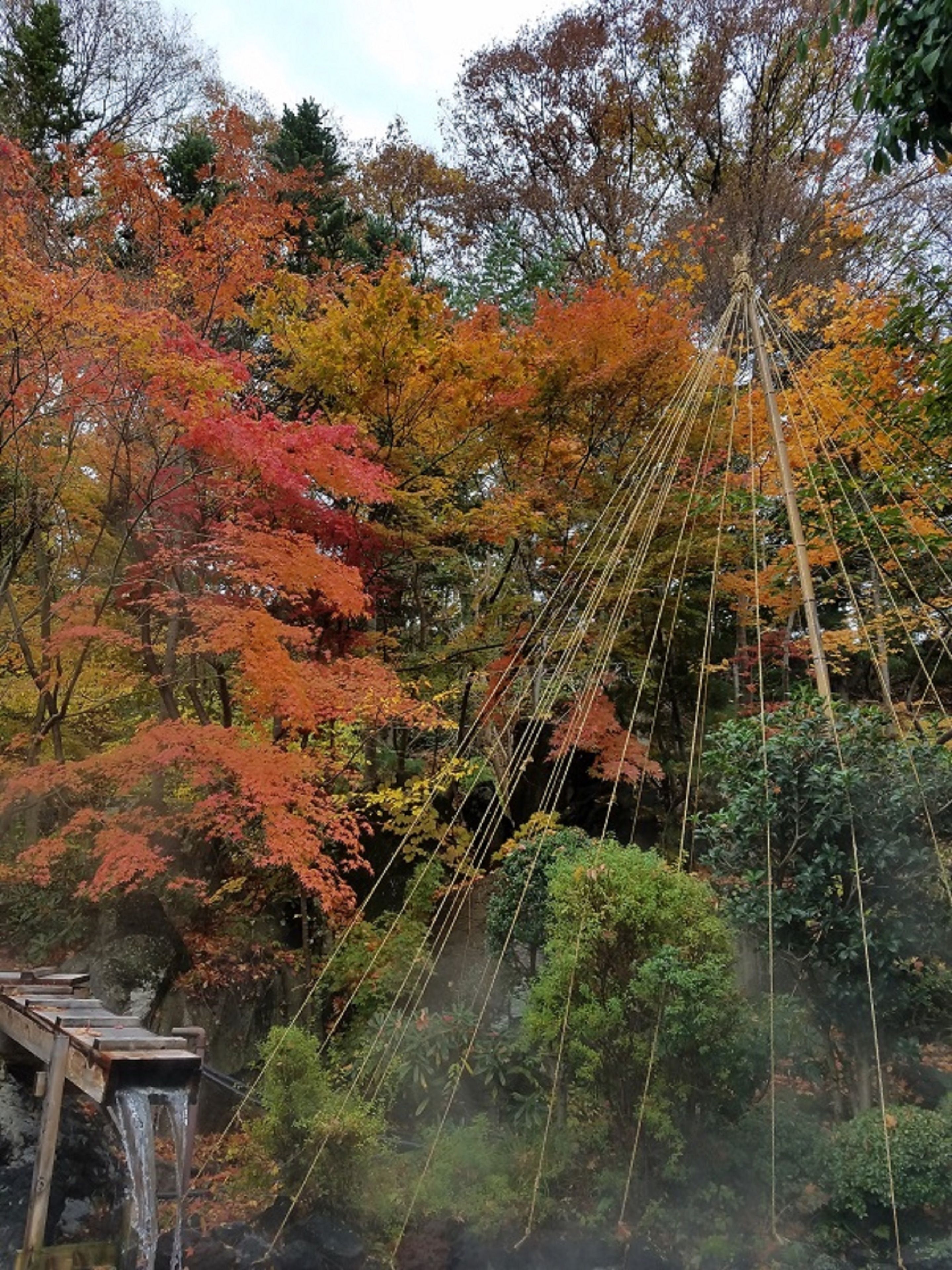 溫泉