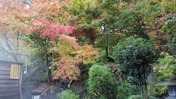 Hot springs