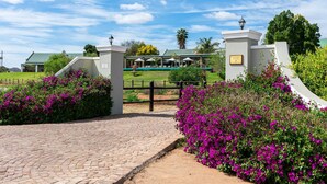 A paved entrance with a gate, surrounded by vibrant purple flowers. - Mooiplaas Guesthouse (Oudtshoorn)