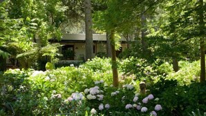 A lush garden with dense foliage and flowering plants in front of a building with a sloped roof. - Diemersfontein Wine and Country Estate (Wellington)