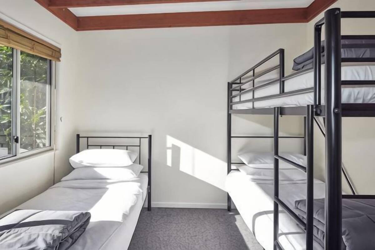 A dormitory room with bunk beds, a window, and a carpeted floor.
