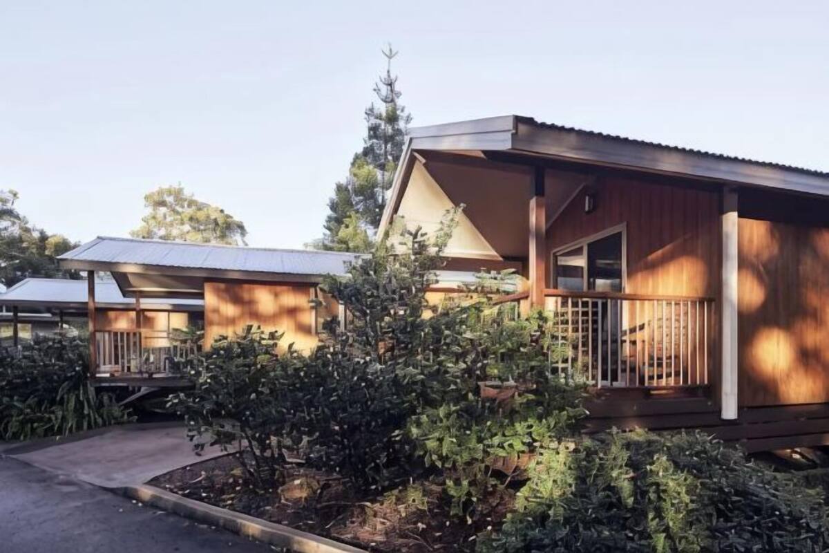 A wooden cabin with a porch, surrounded by vegetation.