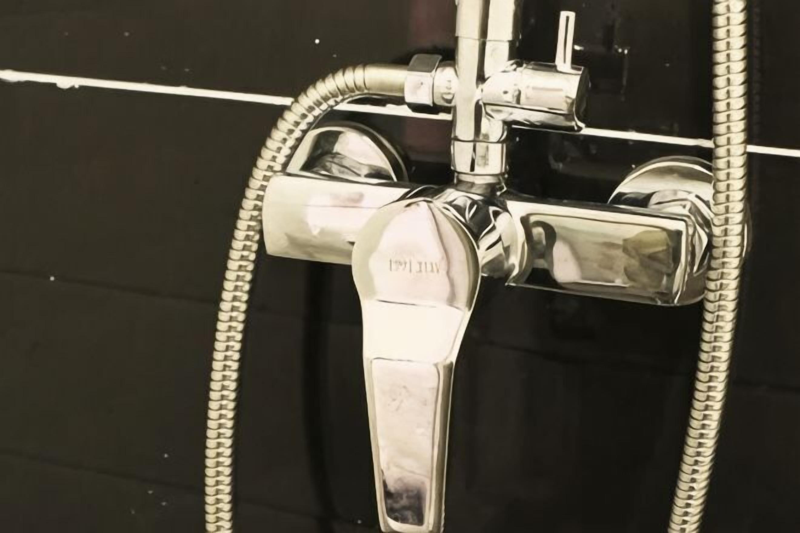 Cabezal de ducha de mano