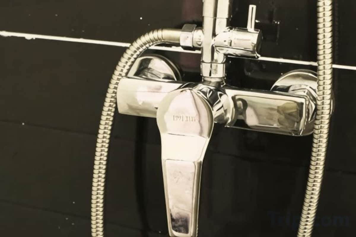 Pomme de douche portative