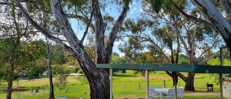 A picnic area with white tables and chairs, a barbecue grill, and large trees in the background.