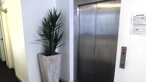 A modern elevator with a metallic finish, a potted plant beside it, and a notice on the wall. - Cityview Studio Accommodation (Leichhardt)