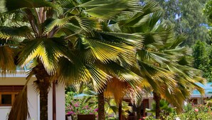 Unclassified image, 2 of 42, button - Les Villas D'Or (Praslin Island)