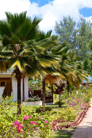 Áreas de la propiedad