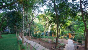 A stone pathway leading through a lush garden with various plants and trees. - Mountbatten Bungalow (Kandy)