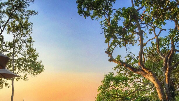 A serene infinity pool with wooden deck seating, surrounded by lush greenery and trees. - Mountbatten Bungalow (Kandy)