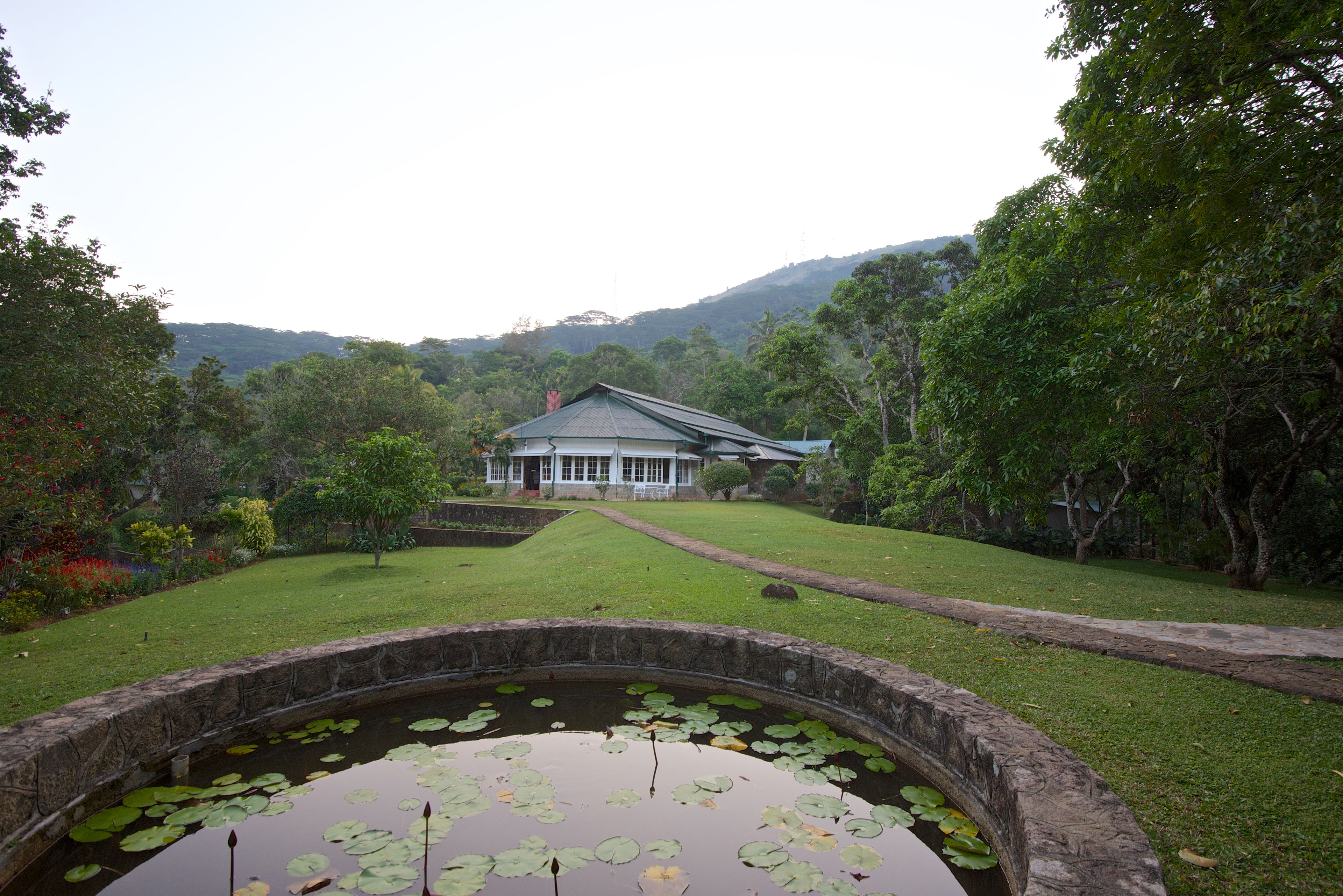 A pond with lily pads in the foreground, a well-maintained lawn, and a building with a green roof in the background.