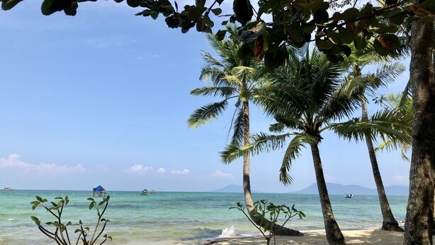 A beach with palm trees, clear blue sky, and calm sea. - Peppercorn Beach (Phu Quoc)