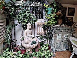 Deluxe-værelse | Udendørsområde