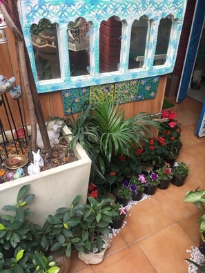 Terrace/patio - On The House - Bed and Breakfast (New Delhi)