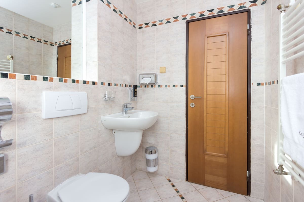 combined shower/bathtub, free toiletries, hair dryer, bathrobes