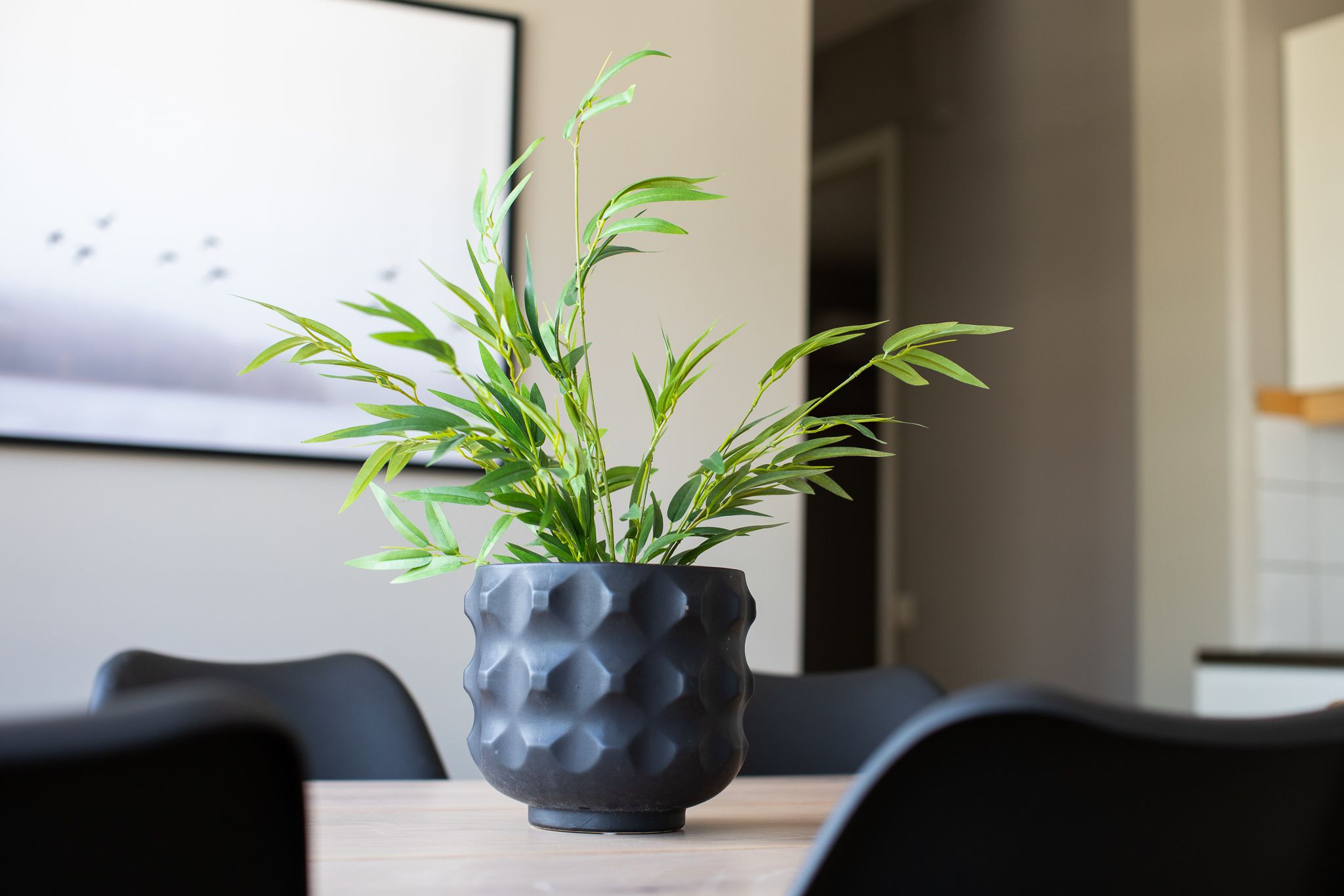 Silla alta para bebés, artículos de limpieza