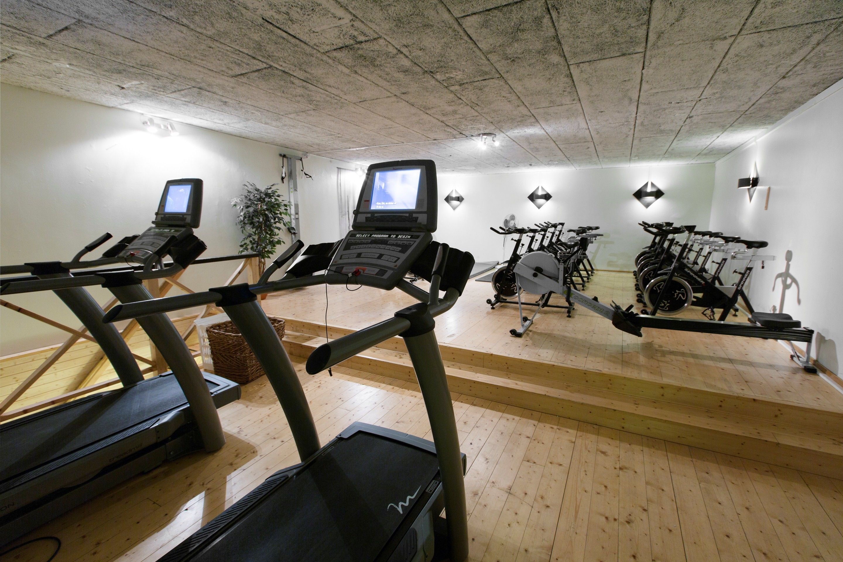 Een sportschool met loopbanden, hometrainers en een roeiapparaat.