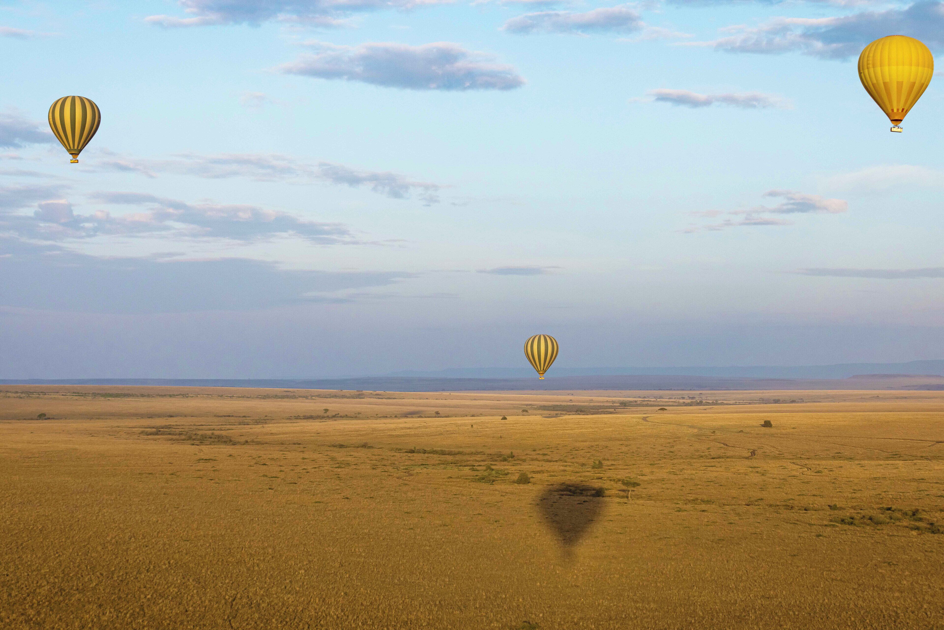 Un vaste champ ouvert, avec trois montgolfières dans le ciel.