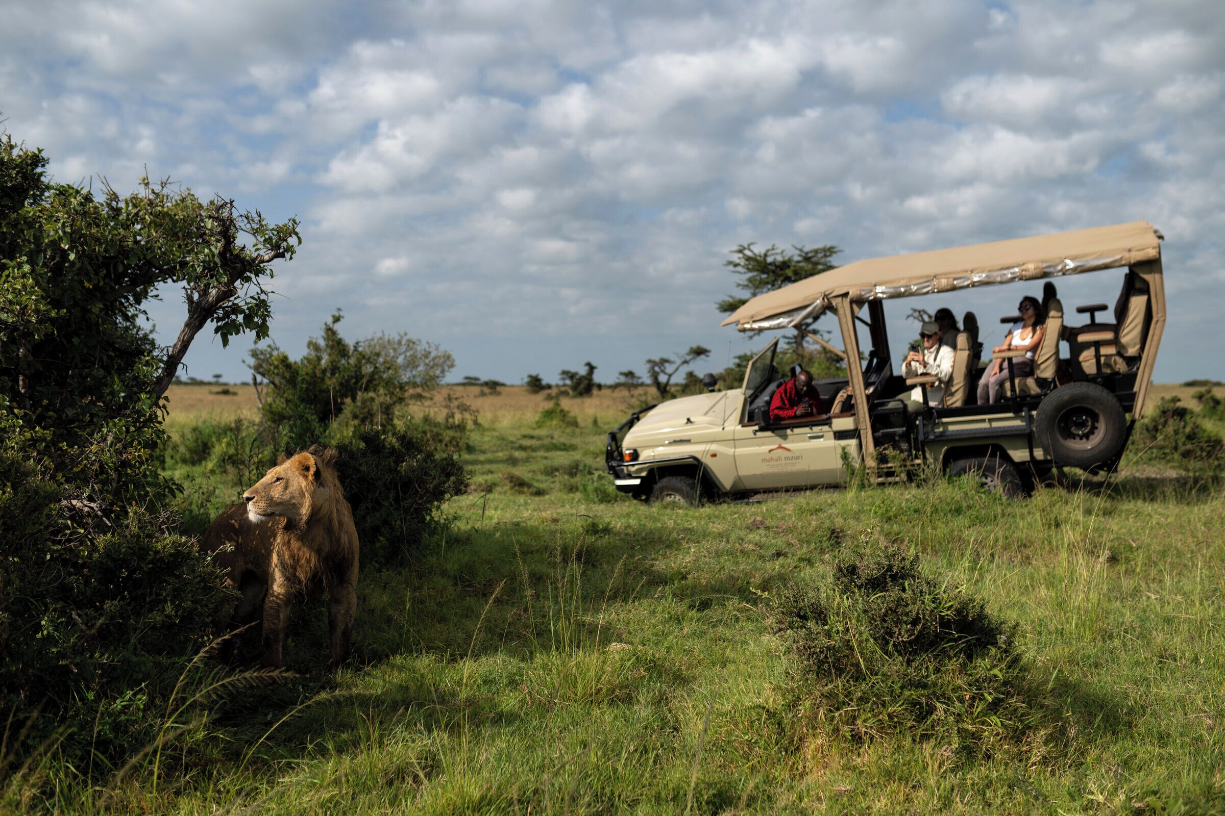 A safari vehicle with passengers observing wildlife in a grassy savannah.