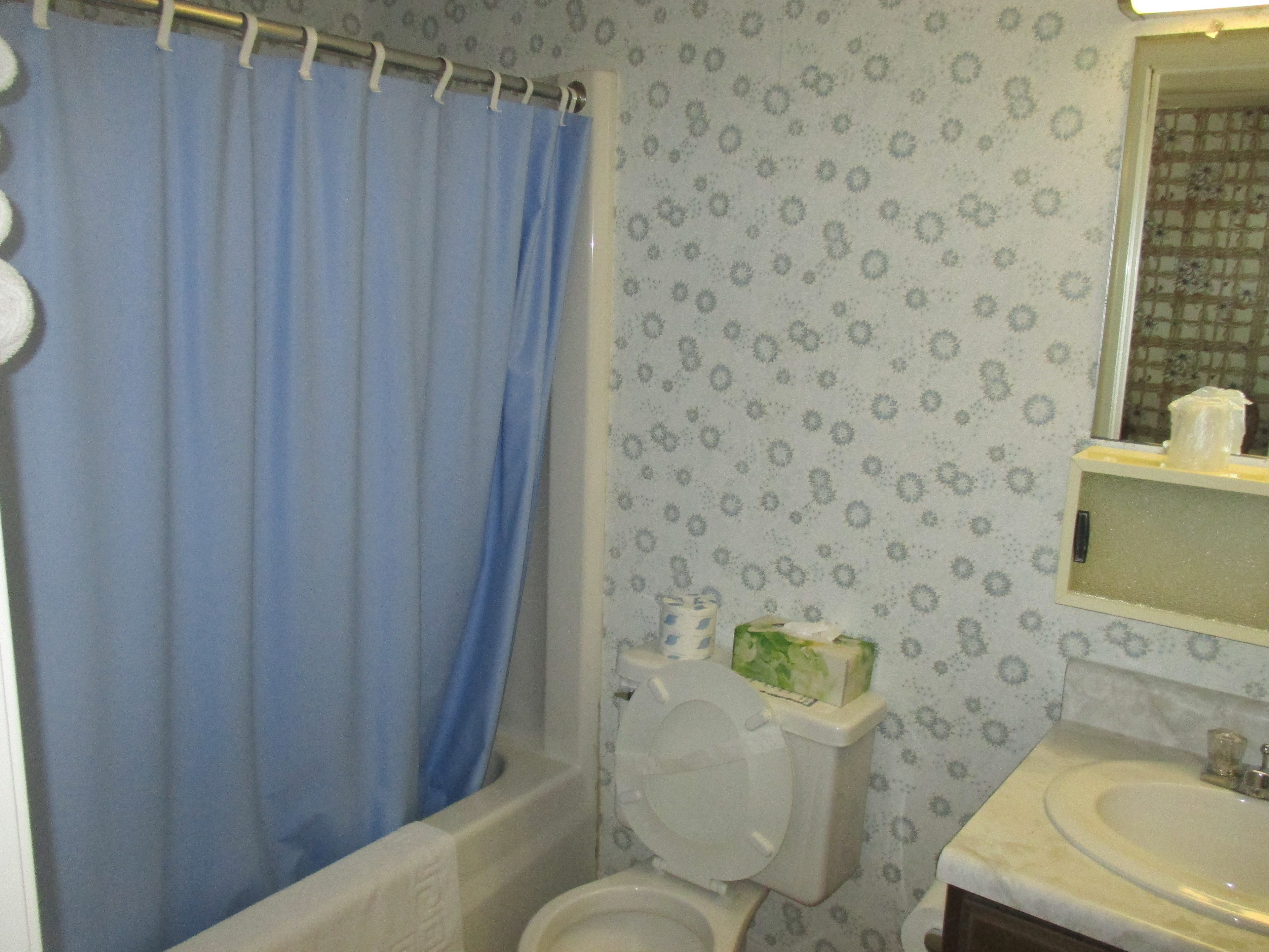 Une salle de bain avec un rideau de douche, des toilettes et un lavabo.