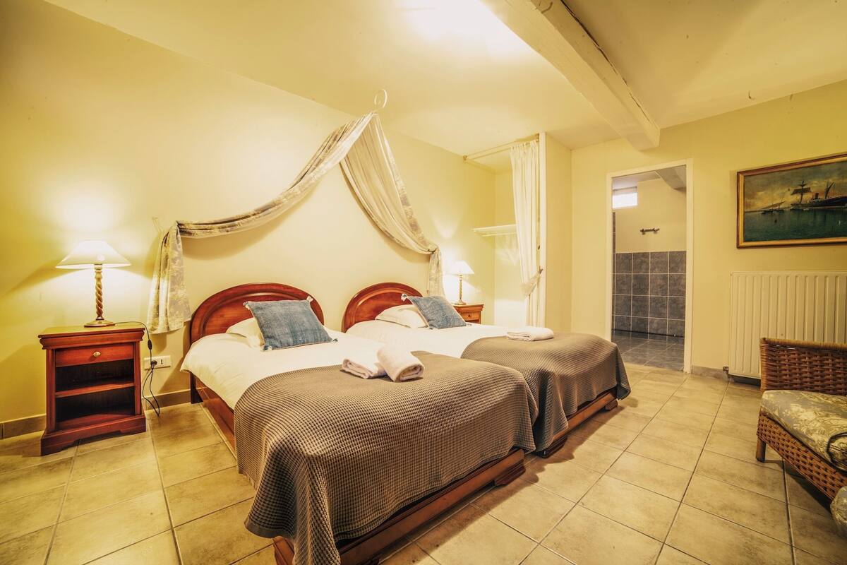 Standaard Twin kamer | Een strijkplank/strijkijzer, gratis babybedden, extra bedden (toeslag)