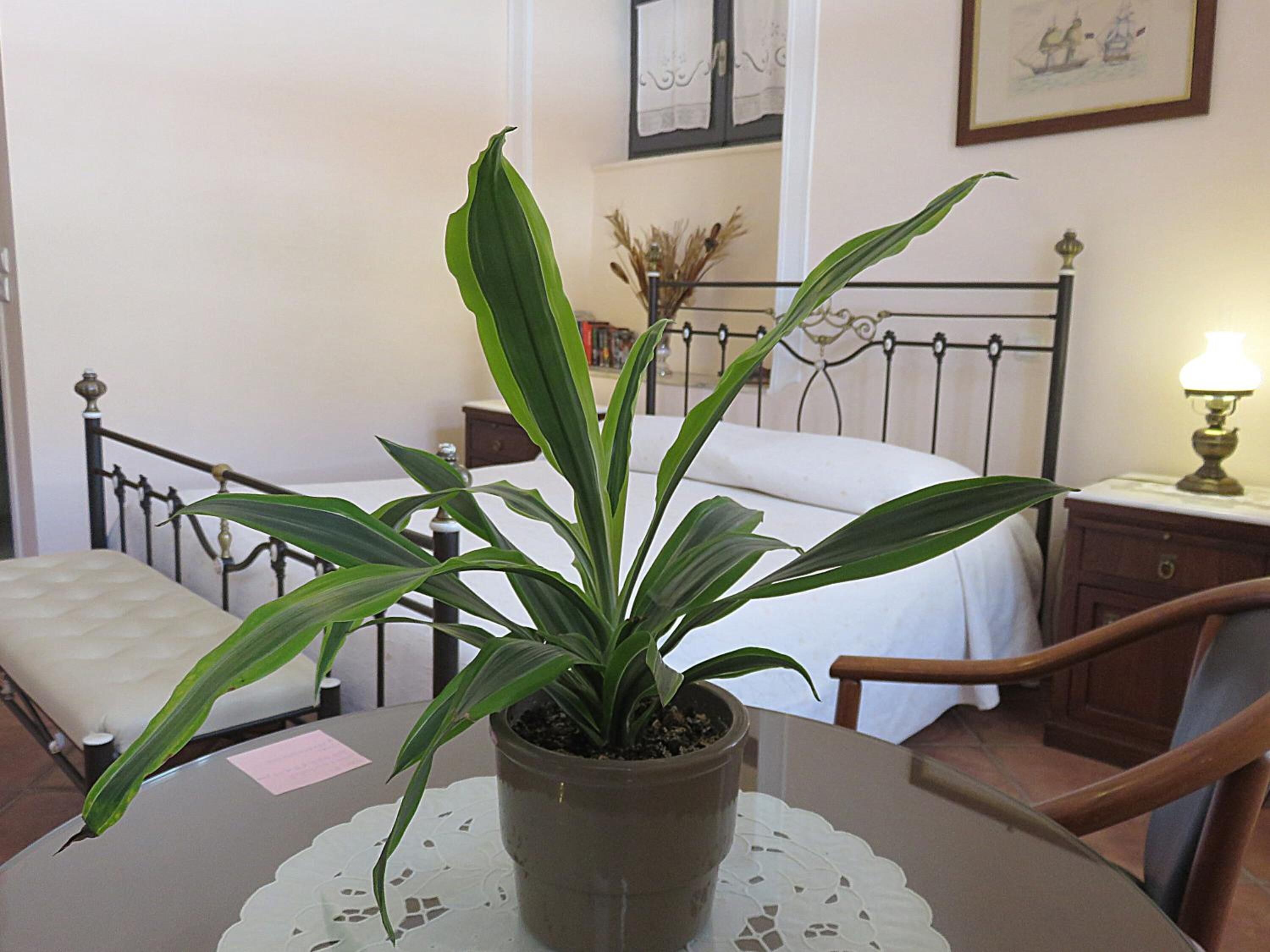 1 bedroom, in-room safe, laptop workspace, free wifi