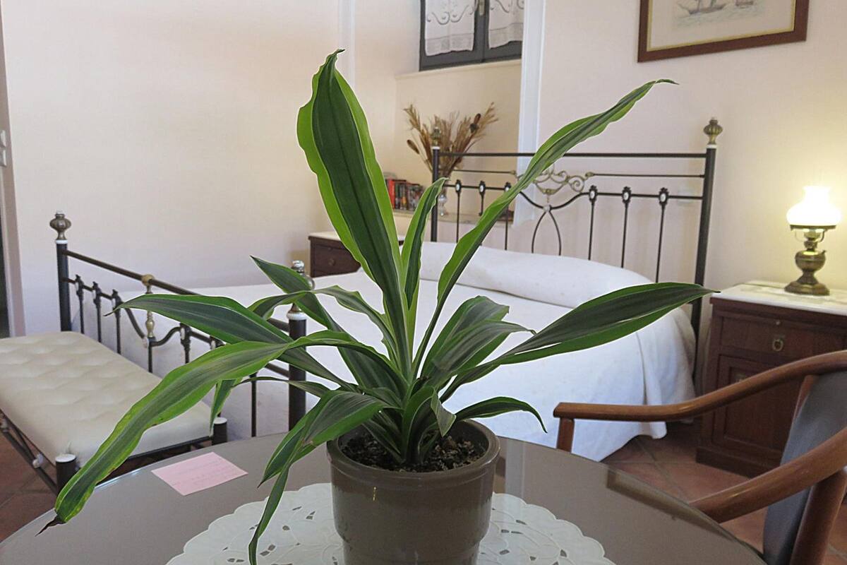 1 bedroom, in-room safe, laptop workspace, free wifi