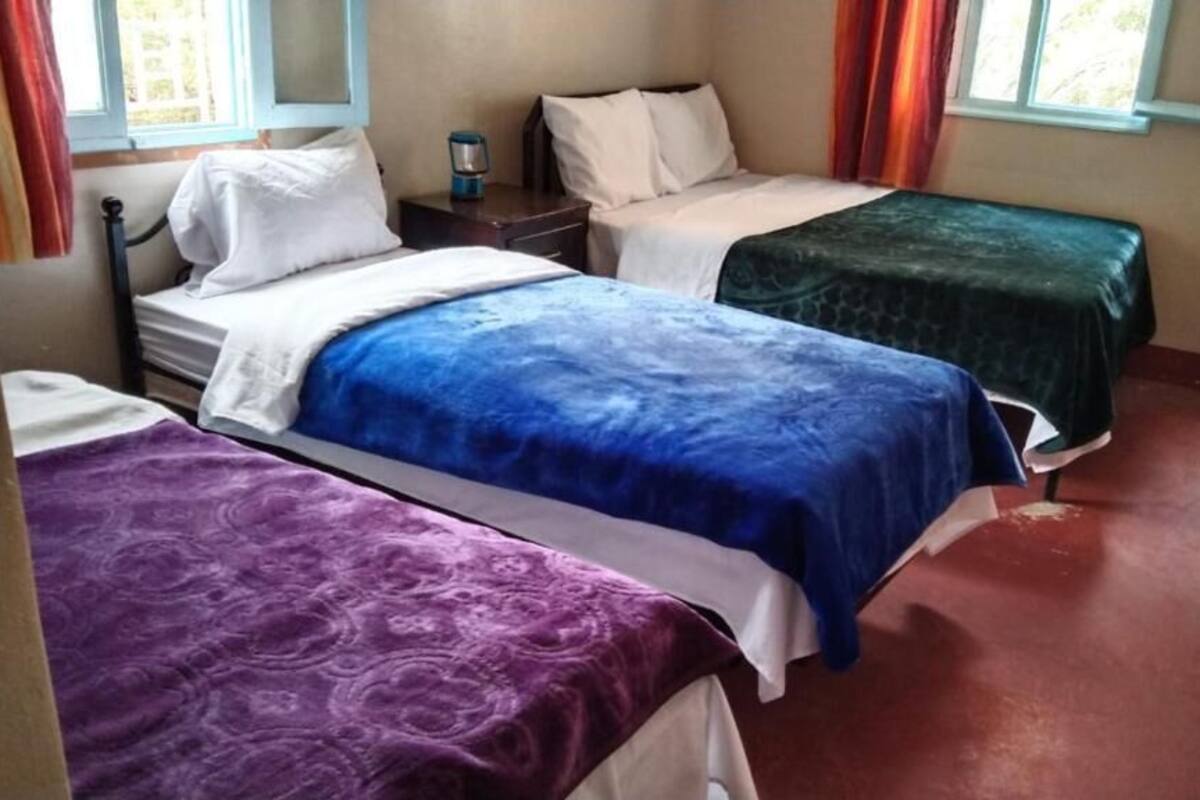 Une chambre avec trois lits, chacun recouvert d’une couvre-lit d’une couleur différente. Il y a deux fenêtres avec des rideaux, une table de chevet avec une lampe et une poubelle.