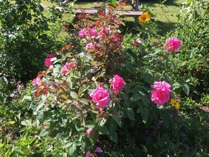 Jardín