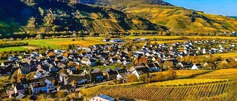 Un pueblo rural con casas y viñedos.