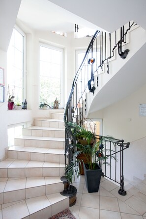 Una amplia escalera con varios escalones y barandilla, rodeada de plantas en macetas y elementos decorativos.