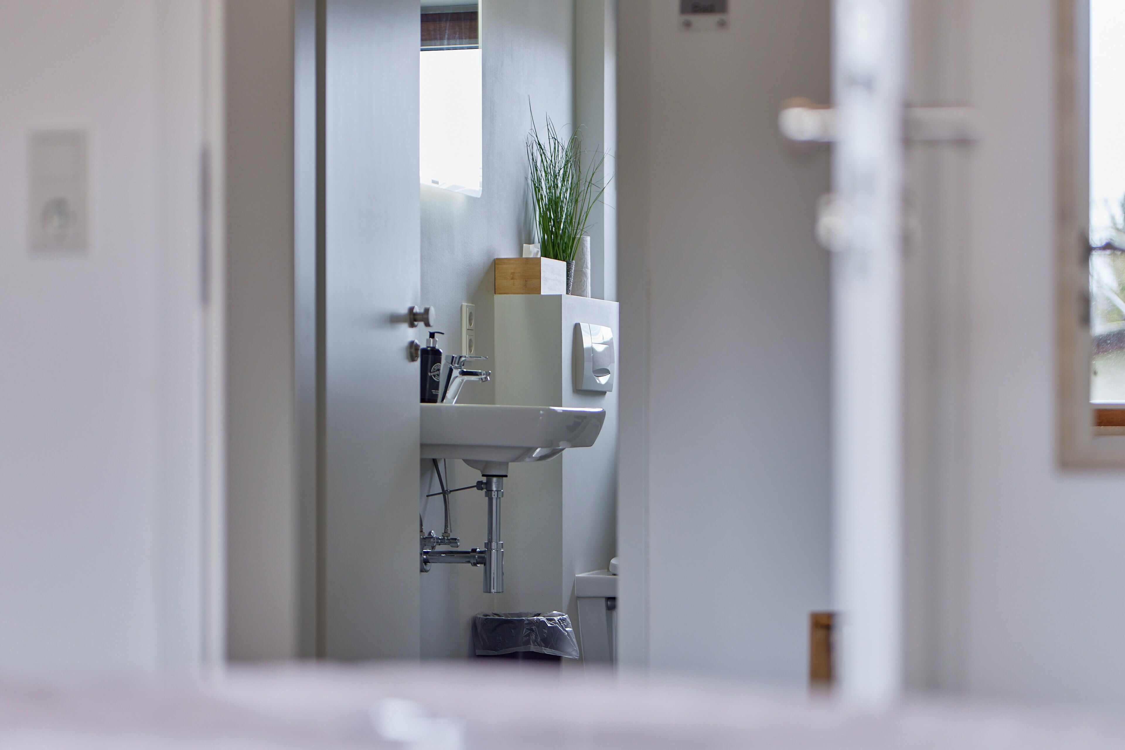 A narrow hallway leading to a bathroom with a sink, a small trash bin, and a potted plant on the wall.