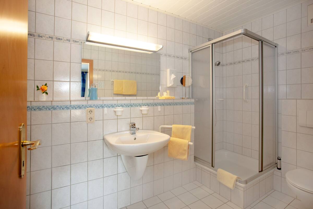 shower, free toiletries, hair dryer, towels